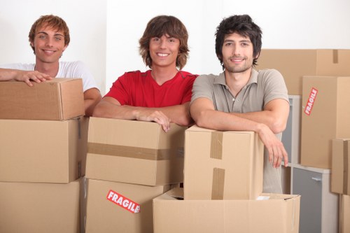 Climate-controlled furniture storage options in Stgiles